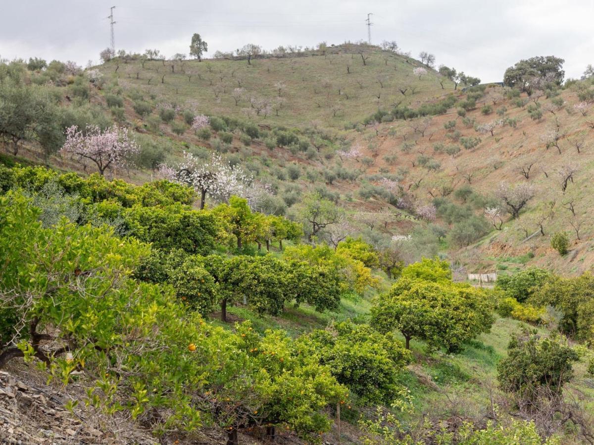 Alojamiento Rural Casa La Era Almogía Eksteriør bilde