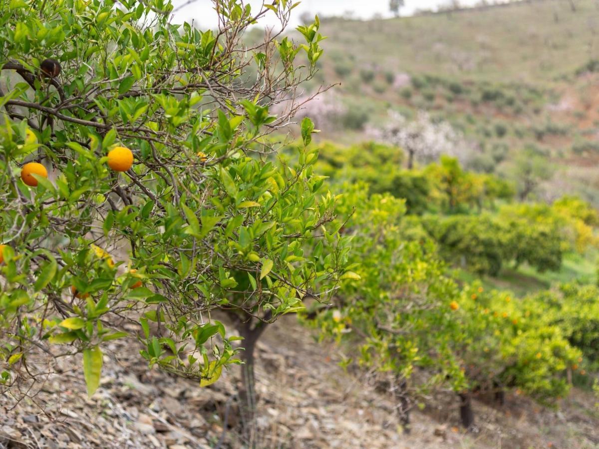 Alojamiento Rural Casa La Era Almogía Eksteriør bilde